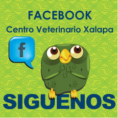 facebook: Centro Veterinario Xalapa